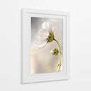 La piel del tiempo - Mandy Disher | Cuadro decorativo de Canvas Lab