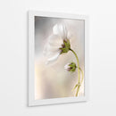 La piel del tiempo - Mandy Disher | Cuadro decorativo de Canvas Lab