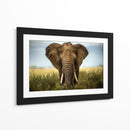 Majestuoso elefante africano simétrico - Alberto Ghizzi Panizza | Cuadro decorativo de Canvas Lab