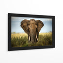 Majestuoso elefante africano simétrico - Alberto Ghizzi Panizza | Cuadro decorativo de Canvas Lab