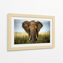 Majestuoso elefante africano simétrico - Alberto Ghizzi Panizza | Cuadro decorativo de Canvas Lab