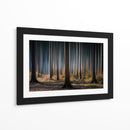 Luz del bosque místico - Carsten Meyerdierks | Cuadro decorativo de Canvas Lab