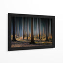 Luz del bosque místico - Carsten Meyerdierks | Cuadro decorativo de Canvas Lab
