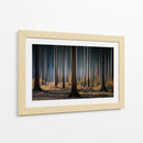 Luz del bosque místico - Carsten Meyerdierks | Cuadro decorativo de Canvas Lab