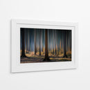 Luz del bosque místico - Carsten Meyerdierks | Cuadro decorativo de Canvas Lab