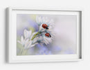 Mariquitas en flores blancas - Ellen van Deelen | Cuadro decorativo de Canvas Lab