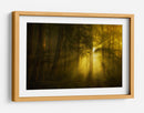 Luz del bosque dorado - Norbert Maier | Cuadro decorativo de Canvas Lab