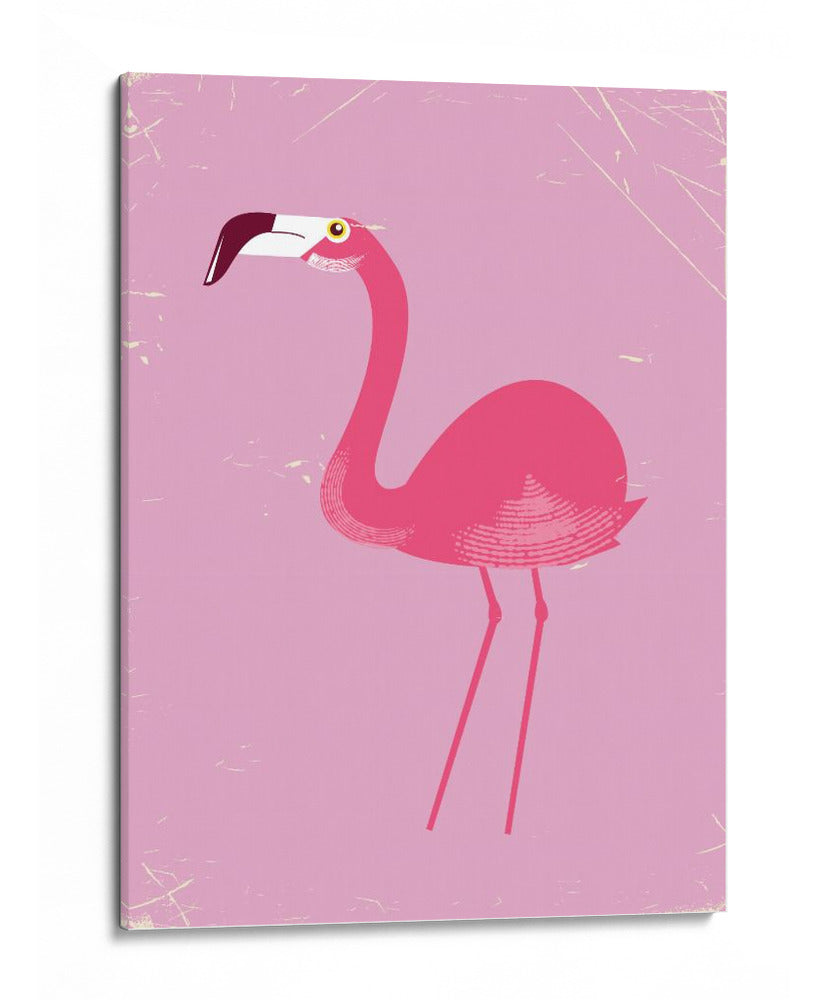 Pájaro flamenco - Nicholas | Cuadro decorativo de Canvas Lab