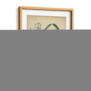 Belleza Escarlata Ii - Sydenham Edwards | Cuadro decorativo de Canvas Lab