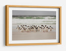 Pingüinos salvajes en la costa - Joan Gil Raga | Cuadro decorativo de Canvas Lab