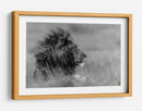 Perfil de león majestuoso - Massimo Mei | Cuadro decorativo de Canvas Lab