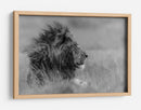 Perfil de león majestuoso - Massimo Mei | Cuadro decorativo de Canvas Lab