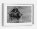 Perfil de león majestuoso - Massimo Mei | Cuadro decorativo de Canvas Lab