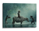 Niños chapoteando en el búfalo - Vichaya | Cuadro decorativo de Canvas Lab