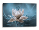 Nigella - Mandy Disher | Cuadro decorativo de Canvas Lab