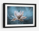 Nigella - Mandy Disher | Cuadro decorativo de Canvas Lab