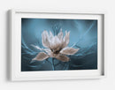 Nigella - Mandy Disher | Cuadro decorativo de Canvas Lab
