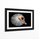 Postura de bailarina, elegante y flexible - Pauline Pentony MA | Cuadro decorativo de Canvas Lab