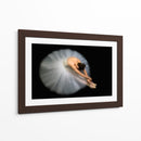Postura de bailarina, elegante y flexible - Pauline Pentony MA | Cuadro decorativo de Canvas Lab