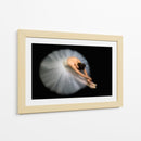 Postura de bailarina, elegante y flexible - Pauline Pentony MA | Cuadro decorativo de Canvas Lab