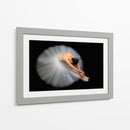 Postura de bailarina, elegante y flexible - Pauline Pentony MA | Cuadro decorativo de Canvas Lab