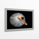 Postura de bailarina, elegante y flexible - Pauline Pentony MA | Cuadro decorativo de Canvas Lab