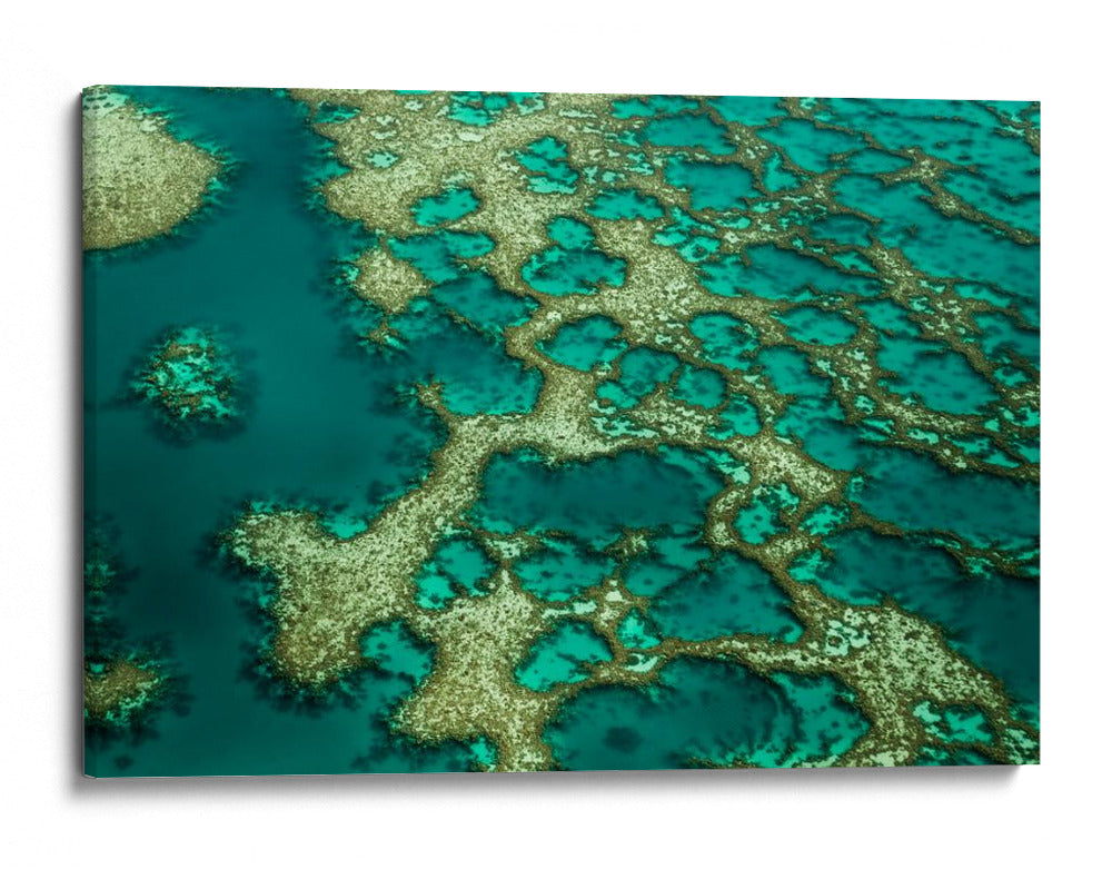Patrones de arrecifes turquesa - Karsten Wrobel | Cuadro decorativo de Canvas Lab