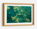 Patrones de arrecifes turquesa - Karsten Wrobel | Cuadro decorativo de Canvas Lab
