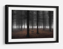 Niebla del bosque profundo - Dragisa Petrovic | Cuadro decorativo de Canvas Lab