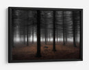 Niebla del bosque profundo - Dragisa Petrovic | Cuadro decorativo de Canvas Lab