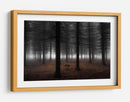 Niebla del bosque profundo - Dragisa Petrovic | Cuadro decorativo de Canvas Lab