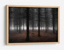 Niebla del bosque profundo - Dragisa Petrovic | Cuadro decorativo de Canvas Lab