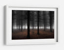 Niebla del bosque profundo - Dragisa Petrovic | Cuadro decorativo de Canvas Lab