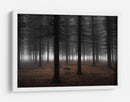 Niebla del bosque profundo - Dragisa Petrovic | Cuadro decorativo de Canvas Lab