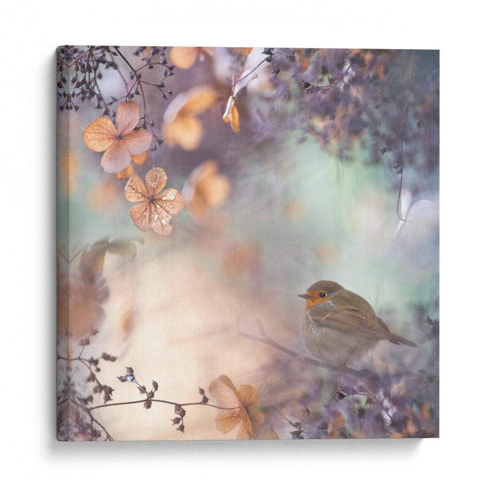 Petirrojo de otoño soñador - Teuni | Cuadro decorativo de Canvas Lab