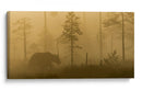 Oso en la niebla dorada - Svein Ove Linde | Cuadro decorativo de Canvas Lab