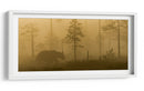 Oso en la niebla dorada - Svein Ove Linde | Cuadro decorativo de Canvas Lab