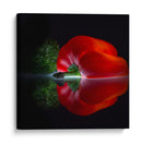 Pimiento rojo brillante - Wieteke de Kogel | Cuadro decorativo de Canvas Lab