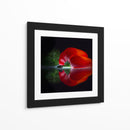 Pimiento rojo brillante - Wieteke de Kogel | Cuadro decorativo de Canvas Lab