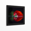 Pimiento rojo brillante - Wieteke de Kogel | Cuadro decorativo de Canvas Lab