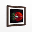 Pimiento rojo brillante - Wieteke de Kogel | Cuadro decorativo de Canvas Lab