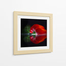 Pimiento rojo brillante - Wieteke de Kogel | Cuadro decorativo de Canvas Lab
