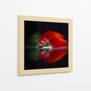 Pimiento rojo brillante - Wieteke de Kogel | Cuadro decorativo de Canvas Lab