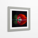 Pimiento rojo brillante - Wieteke de Kogel | Cuadro decorativo de Canvas Lab