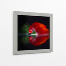 Pimiento rojo brillante - Wieteke de Kogel | Cuadro decorativo de Canvas Lab