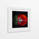 Pimiento rojo brillante - Wieteke de Kogel | Cuadro decorativo de Canvas Lab