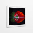 Pimiento rojo brillante - Wieteke de Kogel | Cuadro decorativo de Canvas Lab