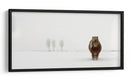Pony de invierno en la nieve - Gert van den | Cuadro decorativo de Canvas Lab