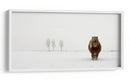 Pony de invierno en la nieve - Gert van den | Cuadro decorativo de Canvas Lab