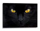 Ojos de gato misteriosos - Ferdinando Valverde | Cuadro decorativo de Canvas Lab